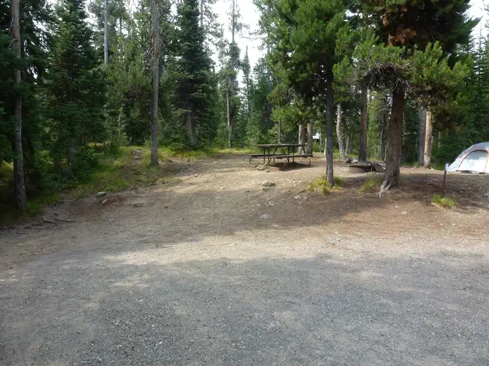 Lewis Lake site #62