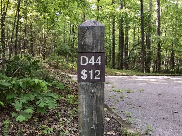 44