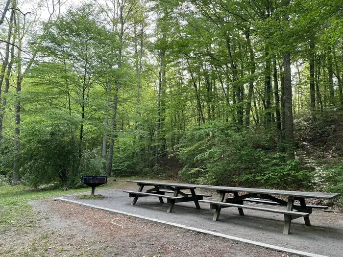 Hopper Creek Group Camp