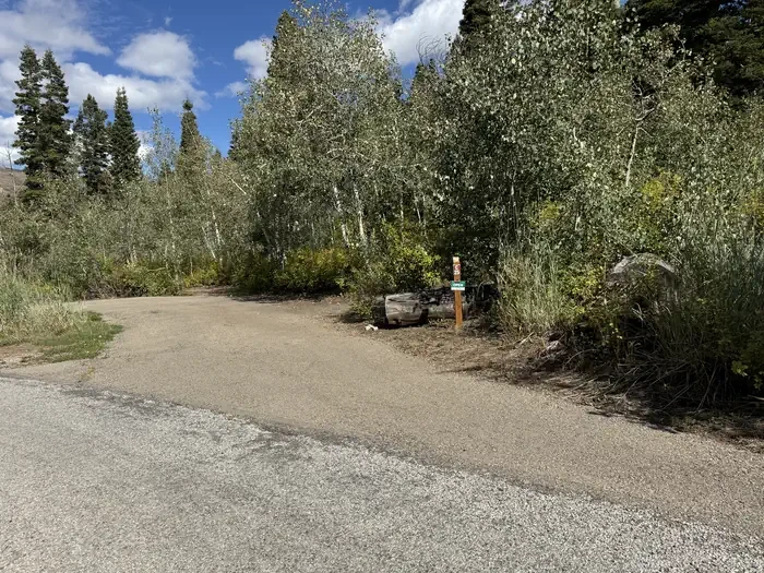 C25