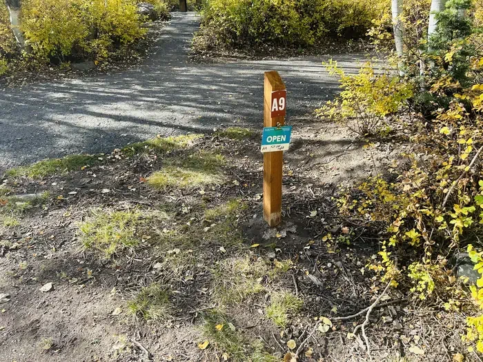 A09