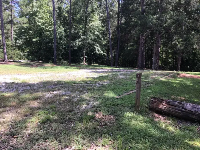 Group Site 08