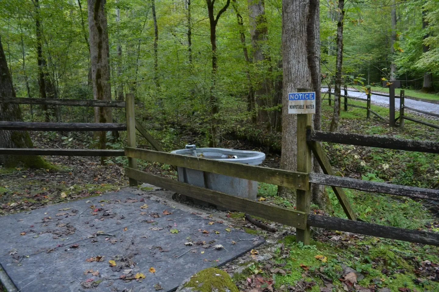 Big Creek Horse Camp