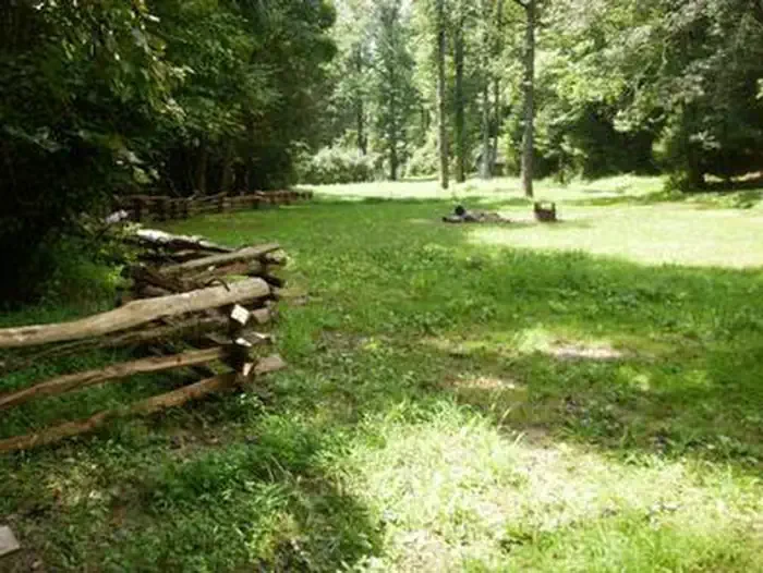 Wash Creek Horse Camp