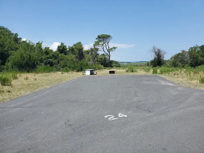 A24