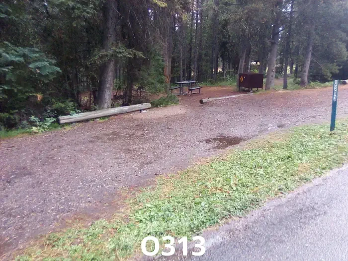 313