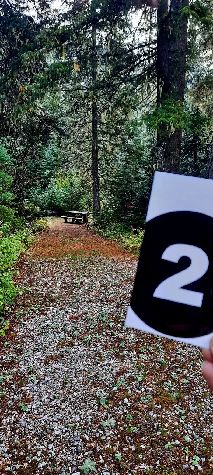 Phelps Creek Campground