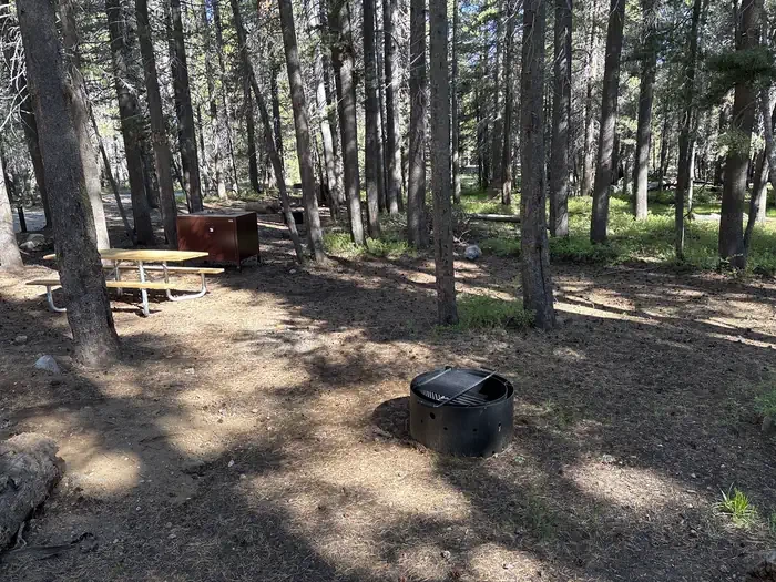 C003