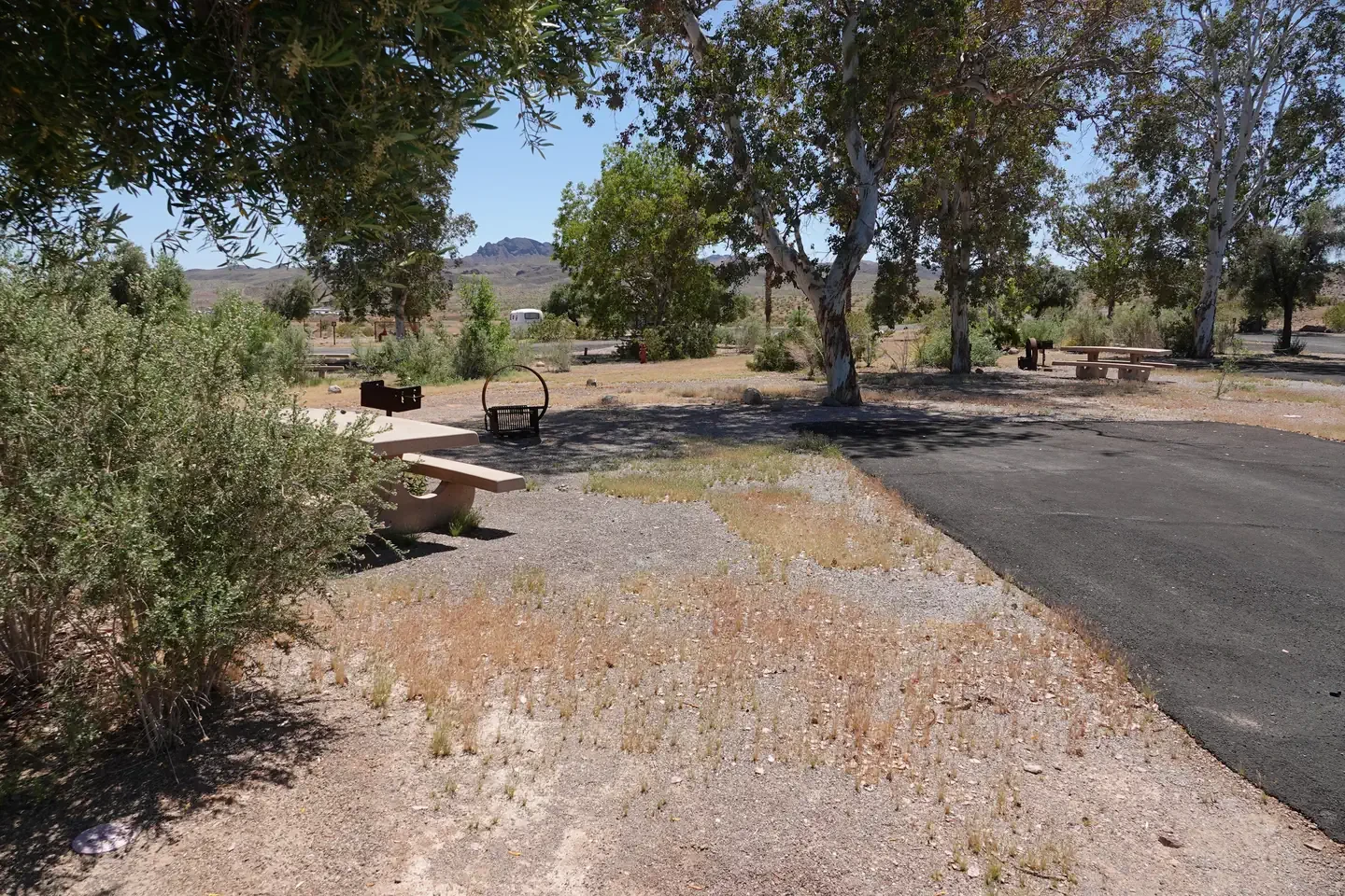 Site 77