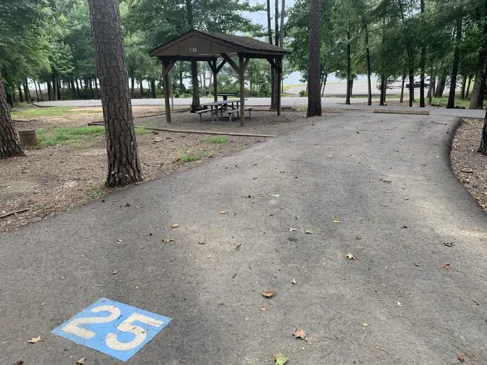 25