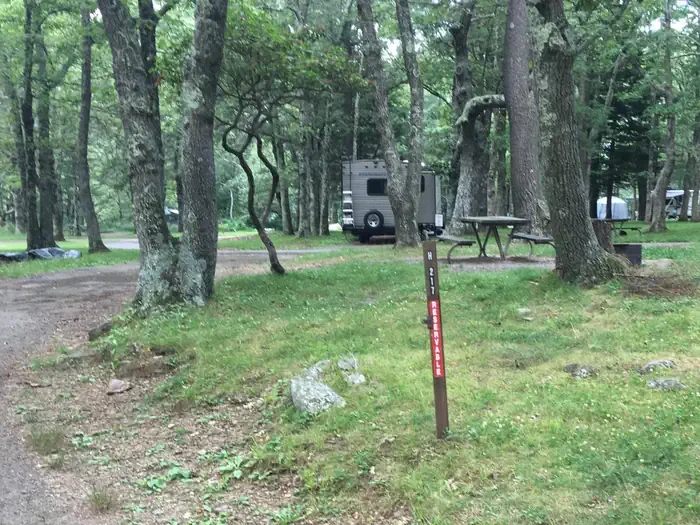 H217