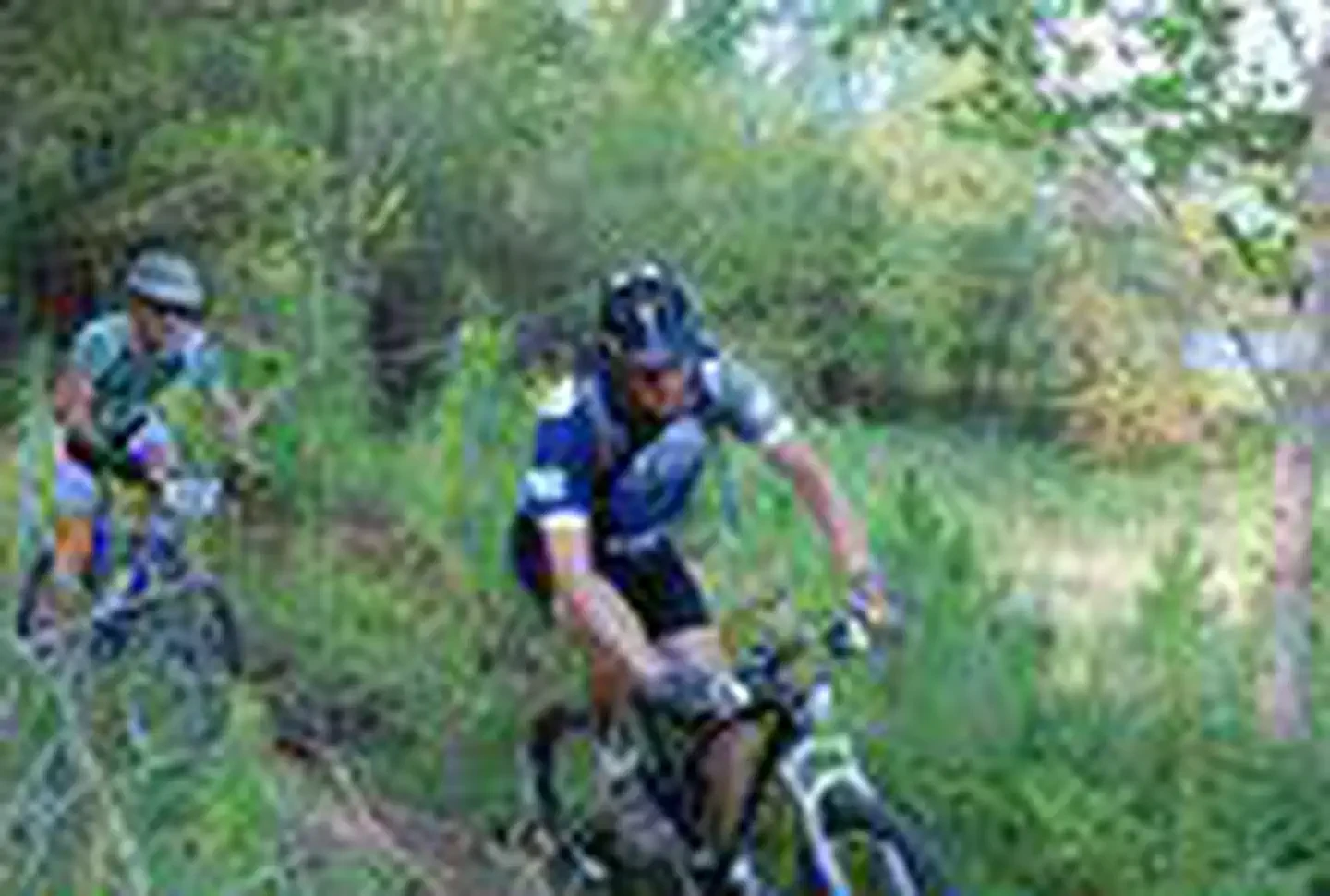 Clear Creek Day Use Area (MS)