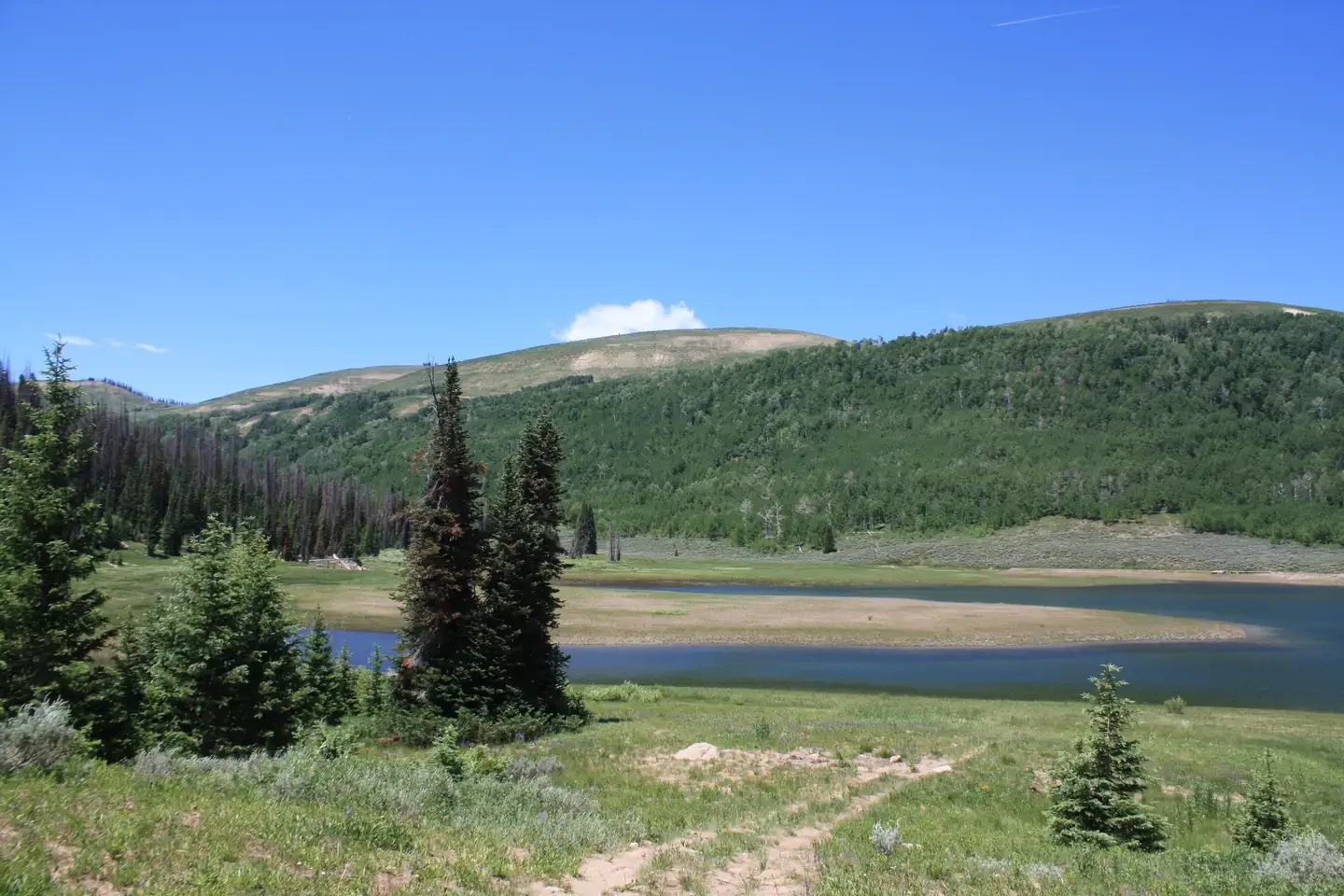 Lake Canyon Rec Area