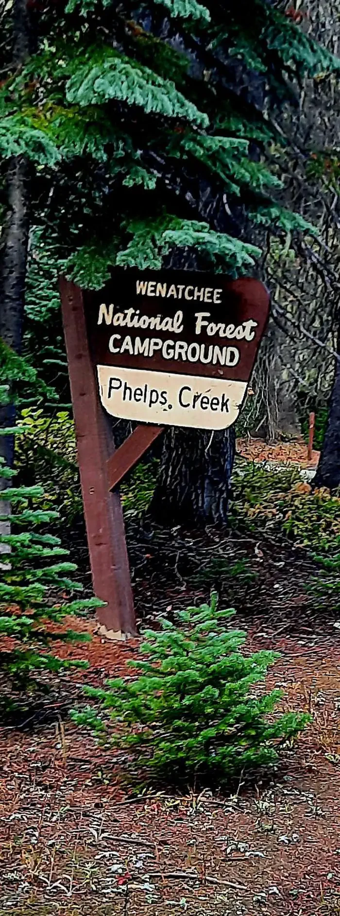 Phelps Creek Campground