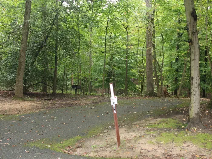 A13