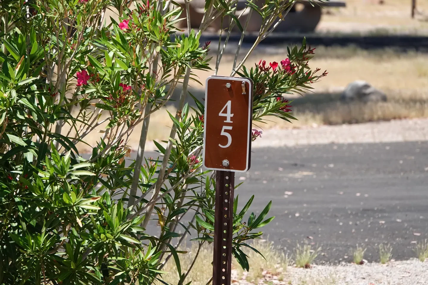 Site 45