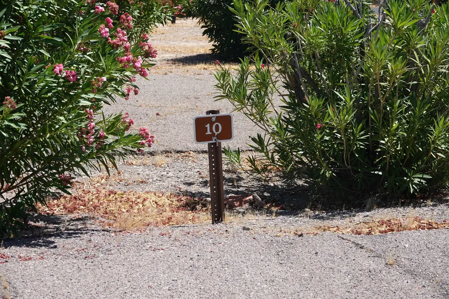 Site 10