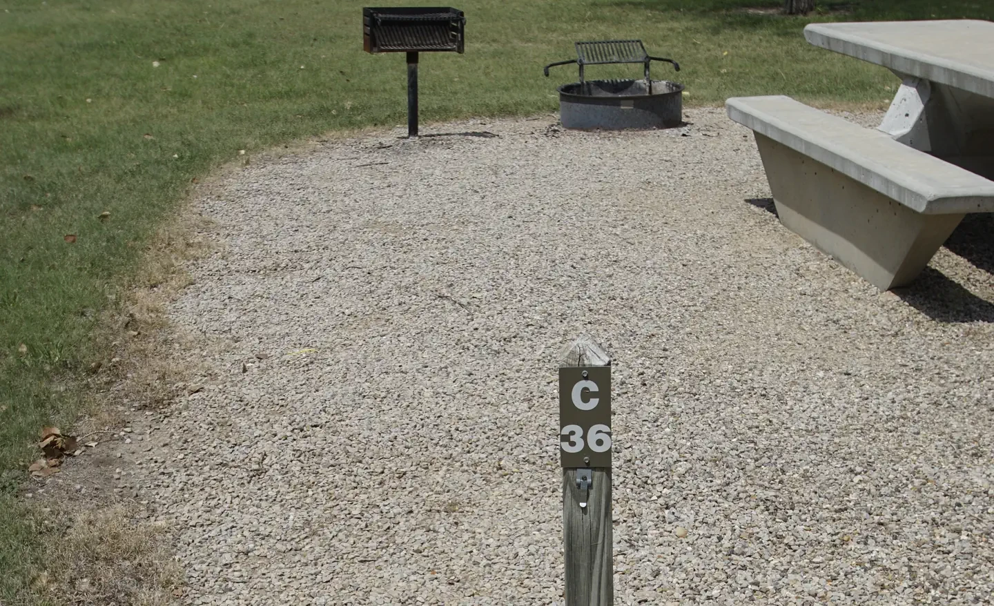 C36