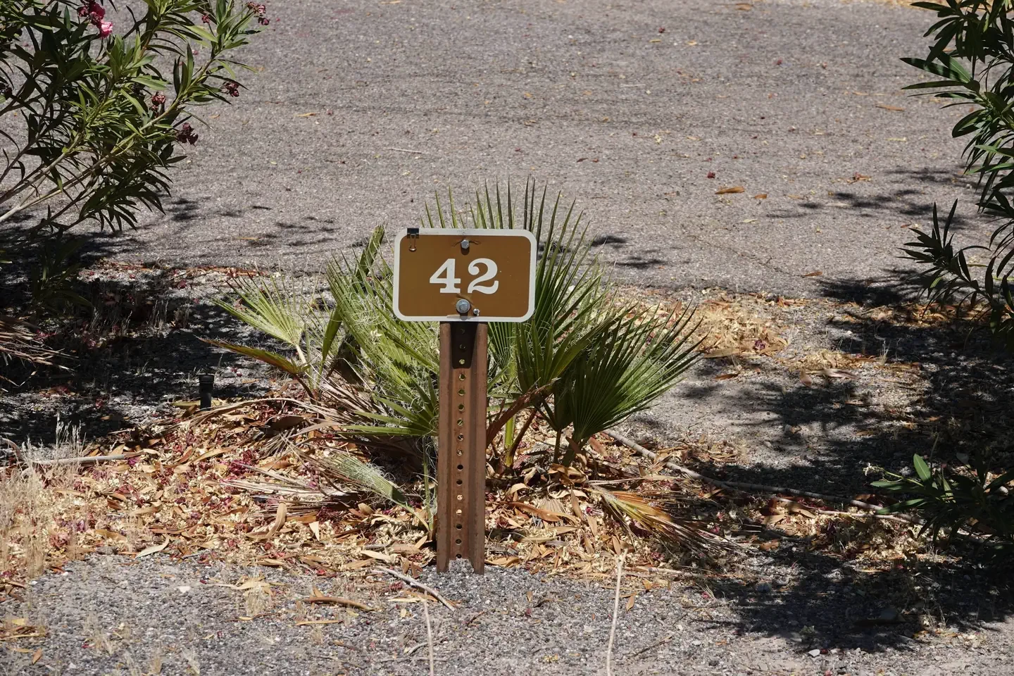 Site 42