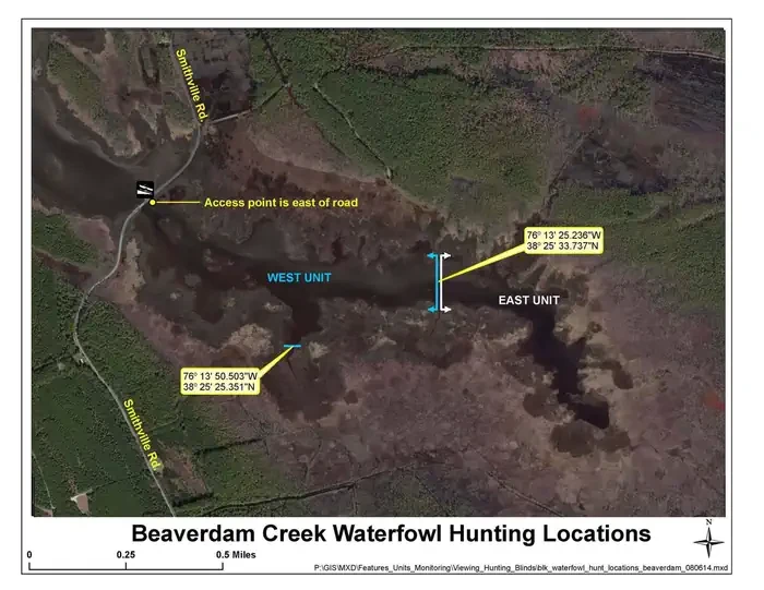 Blackwater National Wildlife Refuge Waterfowl Hunt Permits