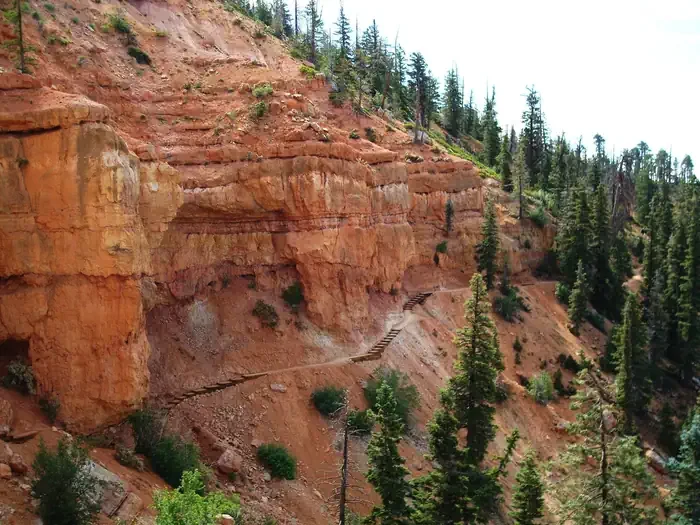 Duck Creek