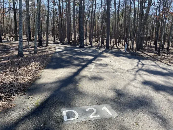 D21