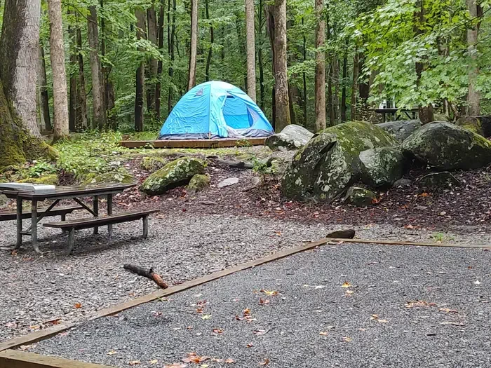 Big Creek Campground (great Smoky Mountains National Park)