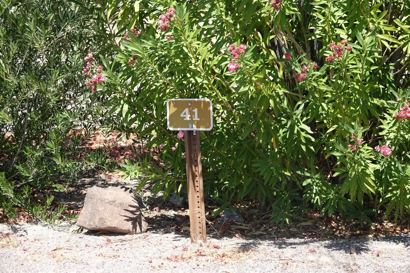 Site 41