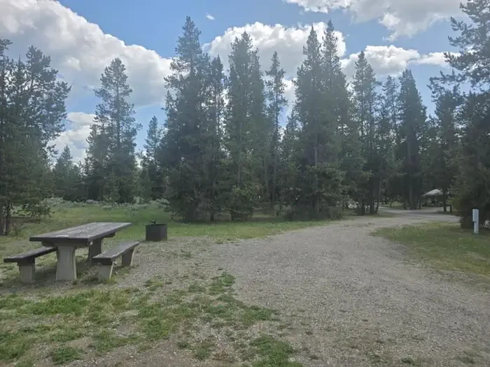 46