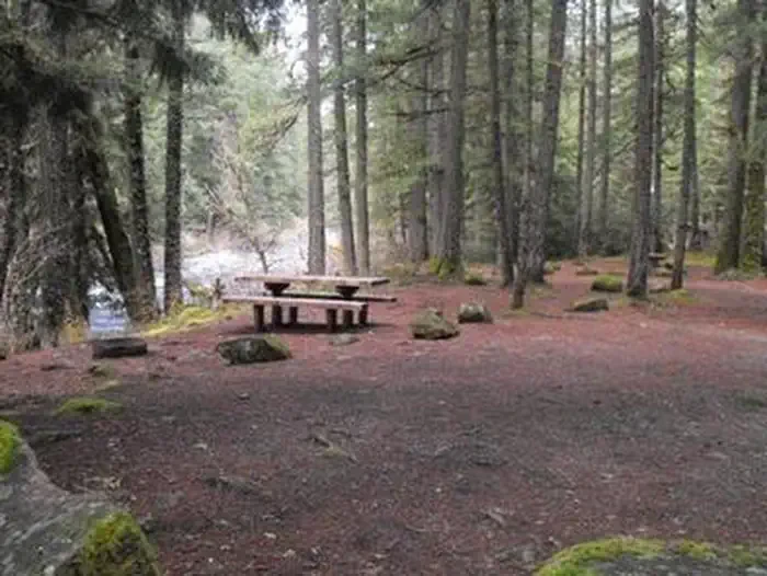 Olallie on McKenzie Highway - Willamette (OR)