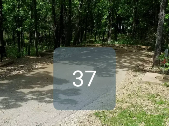 37