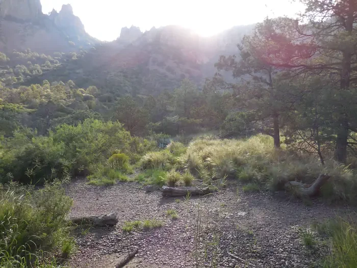 Juniper Flat 2