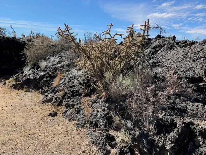 Site 25