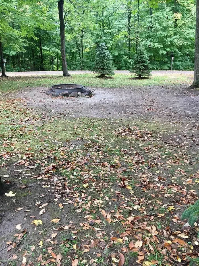 Group Loop (11 sites)
