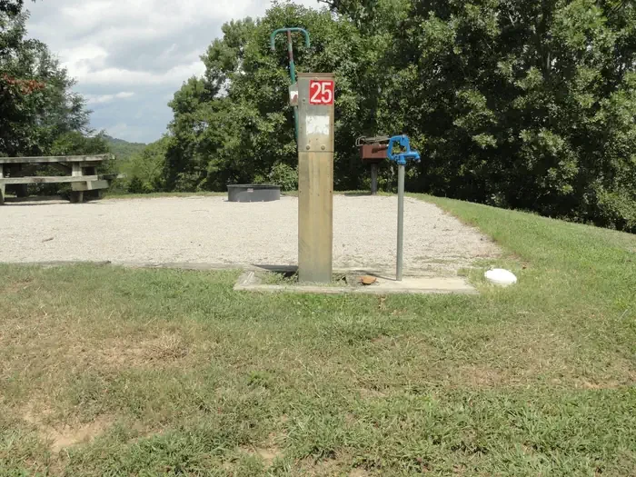 25