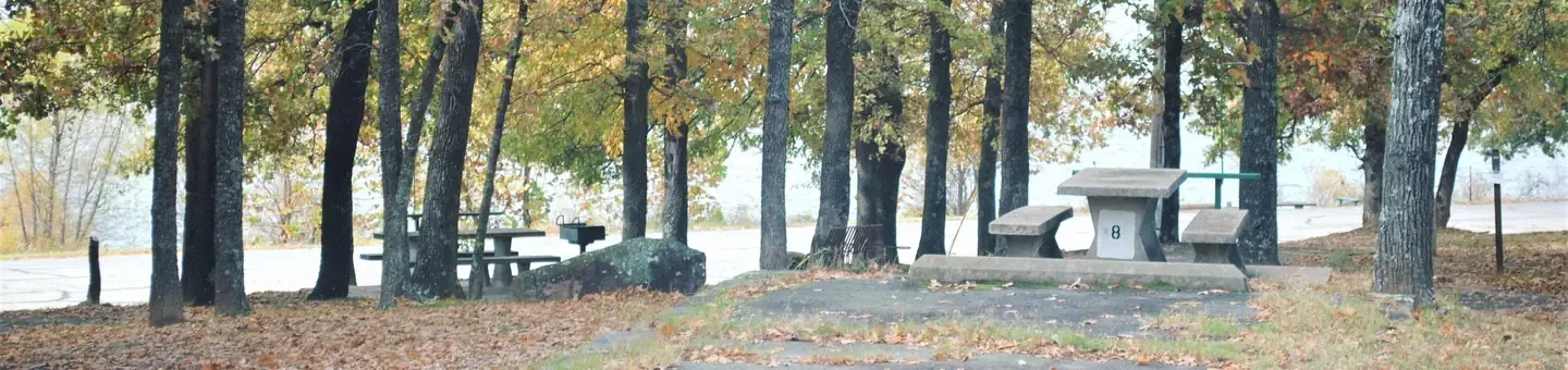 N08
