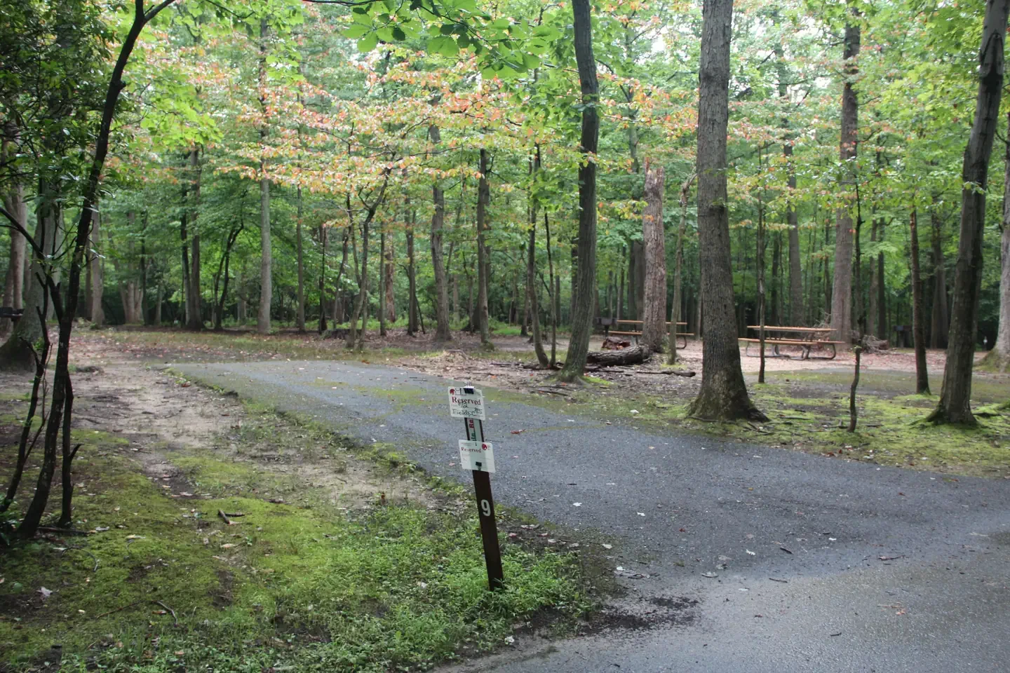 A09