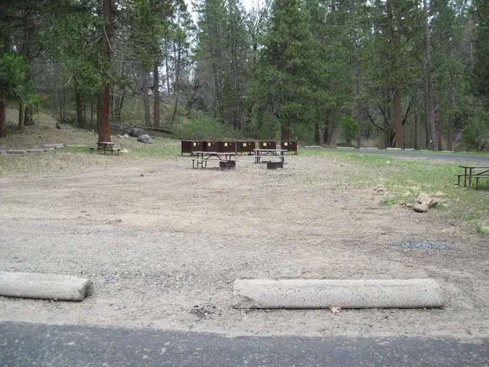 Group Camp