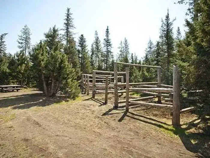Quinn Meadow Horse Camp