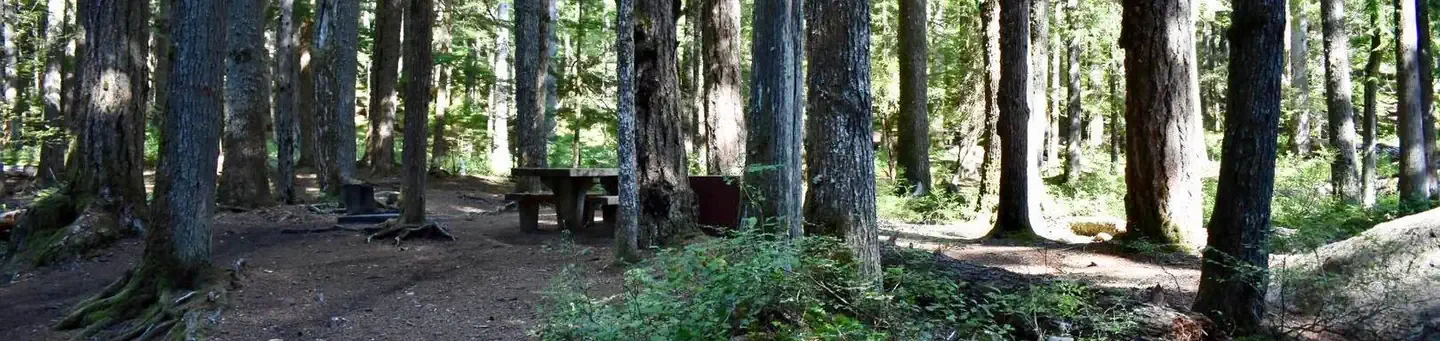 E003