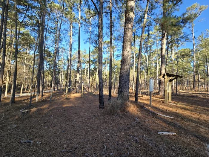 Leroys Ferry Campground