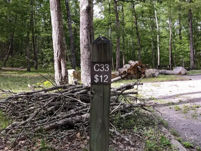33