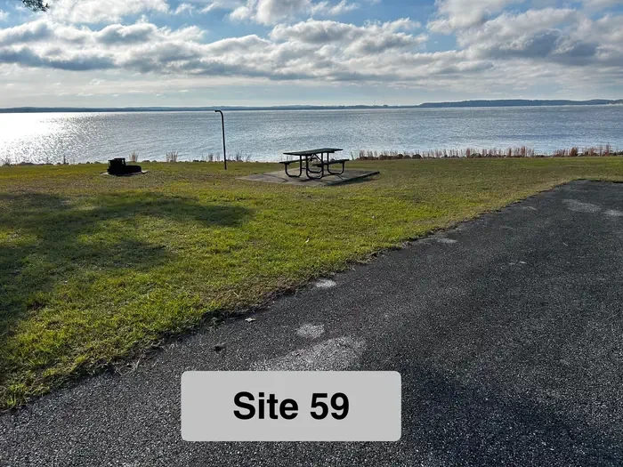 59