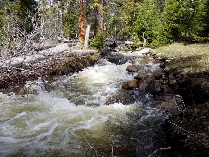 North Fork (wy)