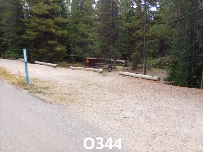 344
