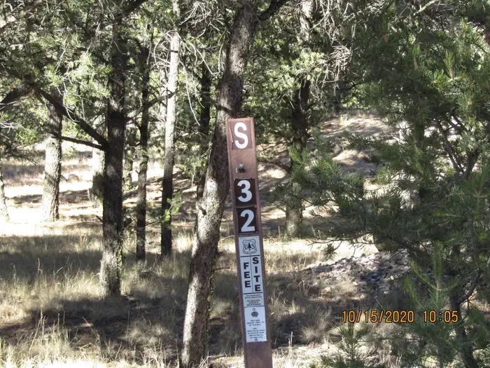 32