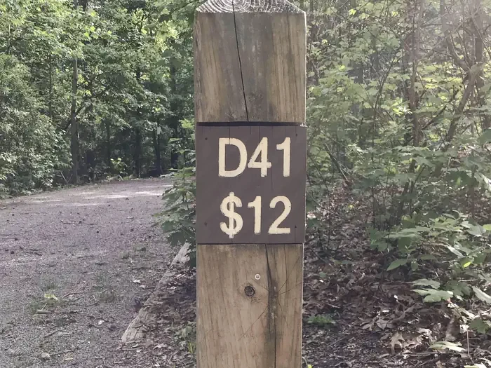 41