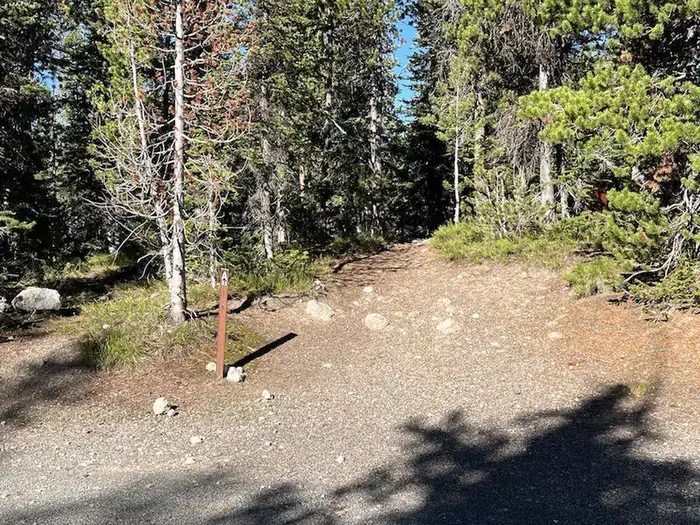 Lewis Lake site #83