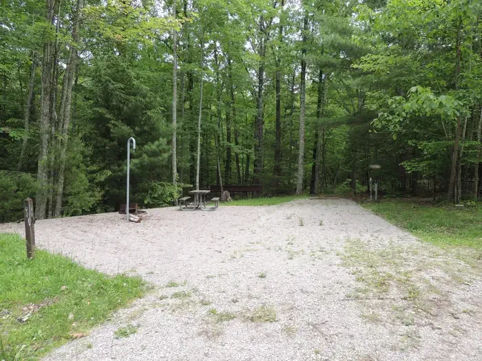 3 (with new paddock)