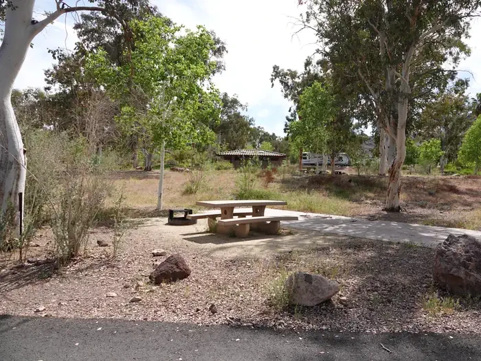 Site 84